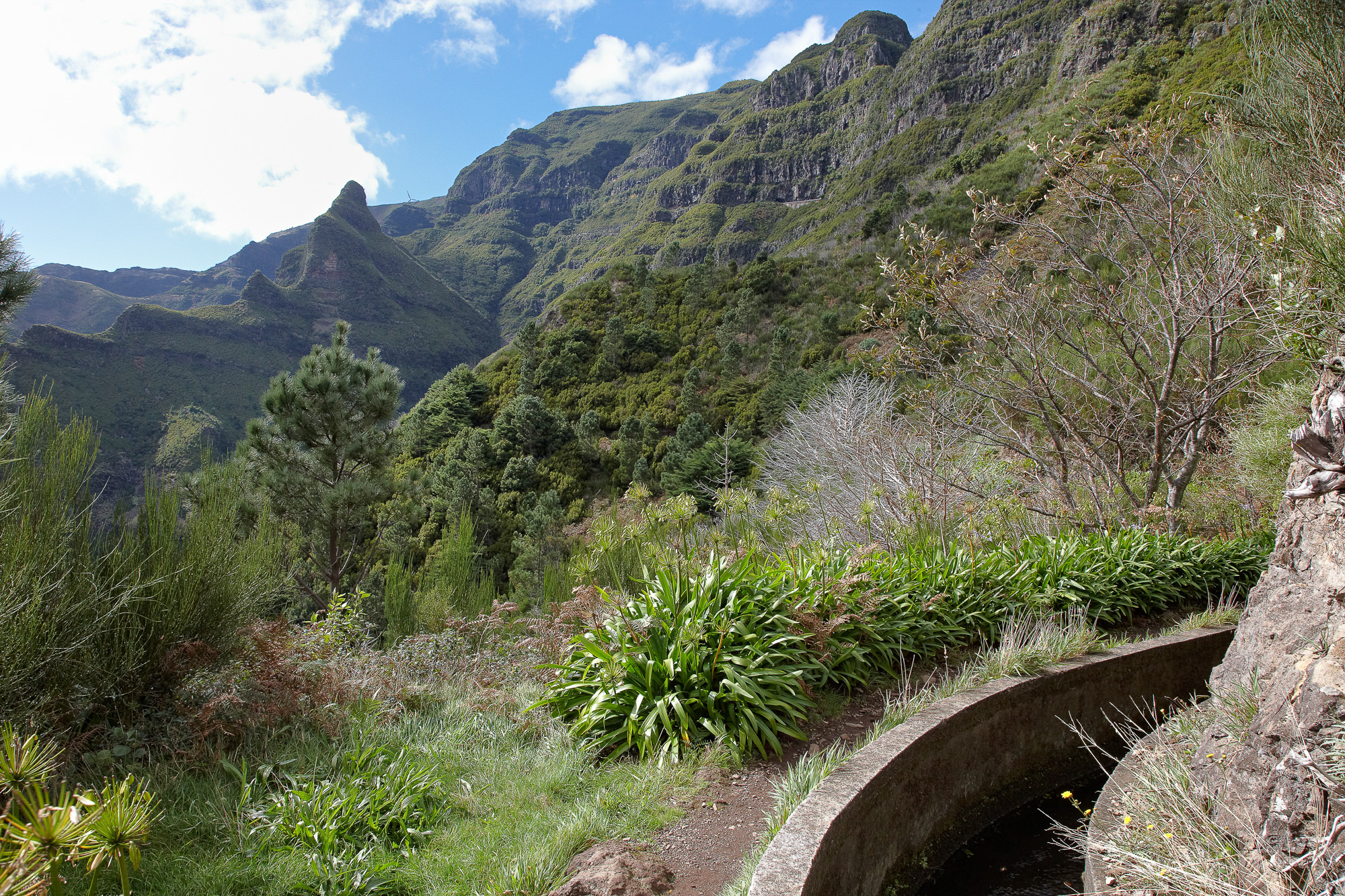 levadas transport the water to the fields