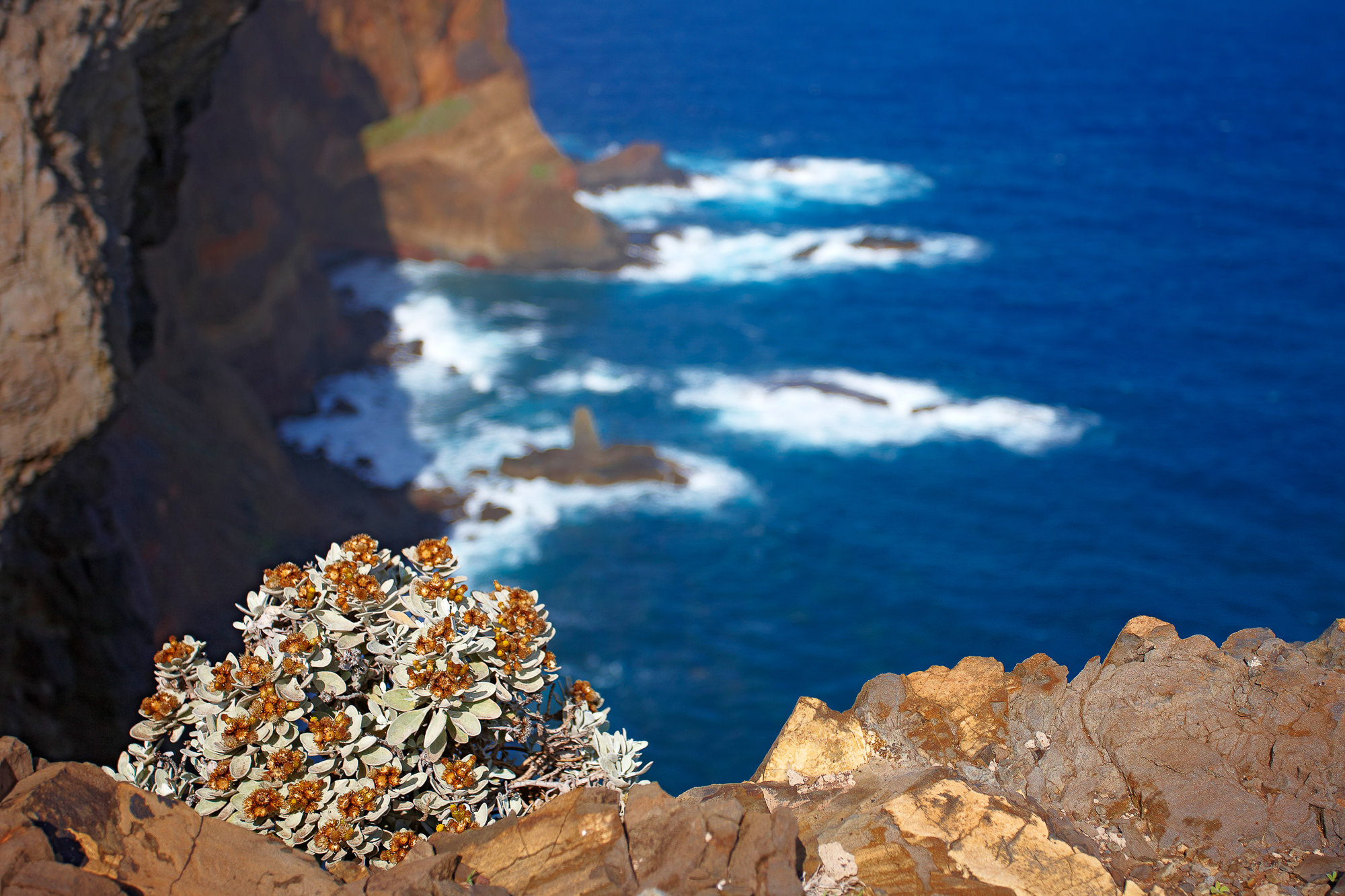 Madeira's eastern tip, Ponta de São Lourenço