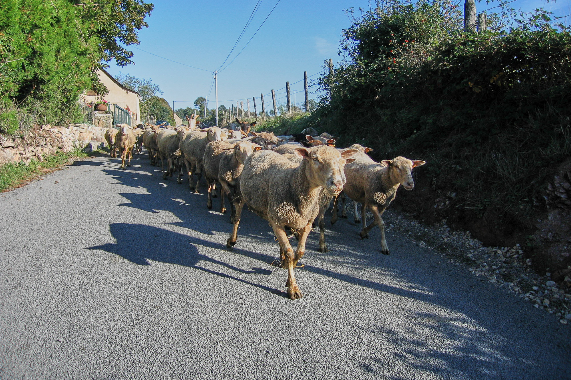 Day 5: From Estaing to Espeyrac