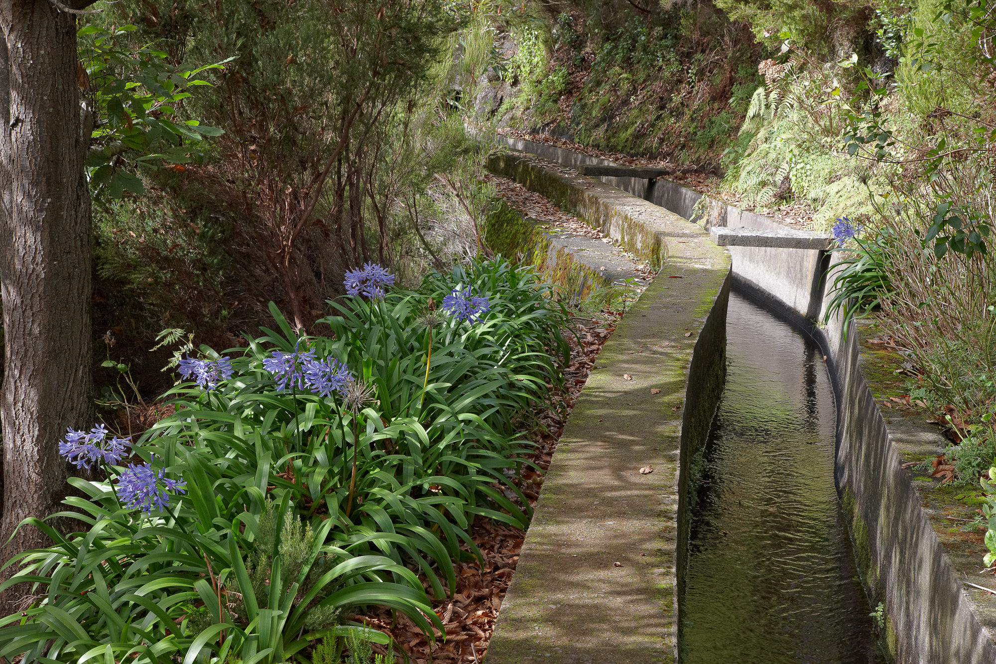 Levadas transportieren Wasser aus den Bergen auf die Felder