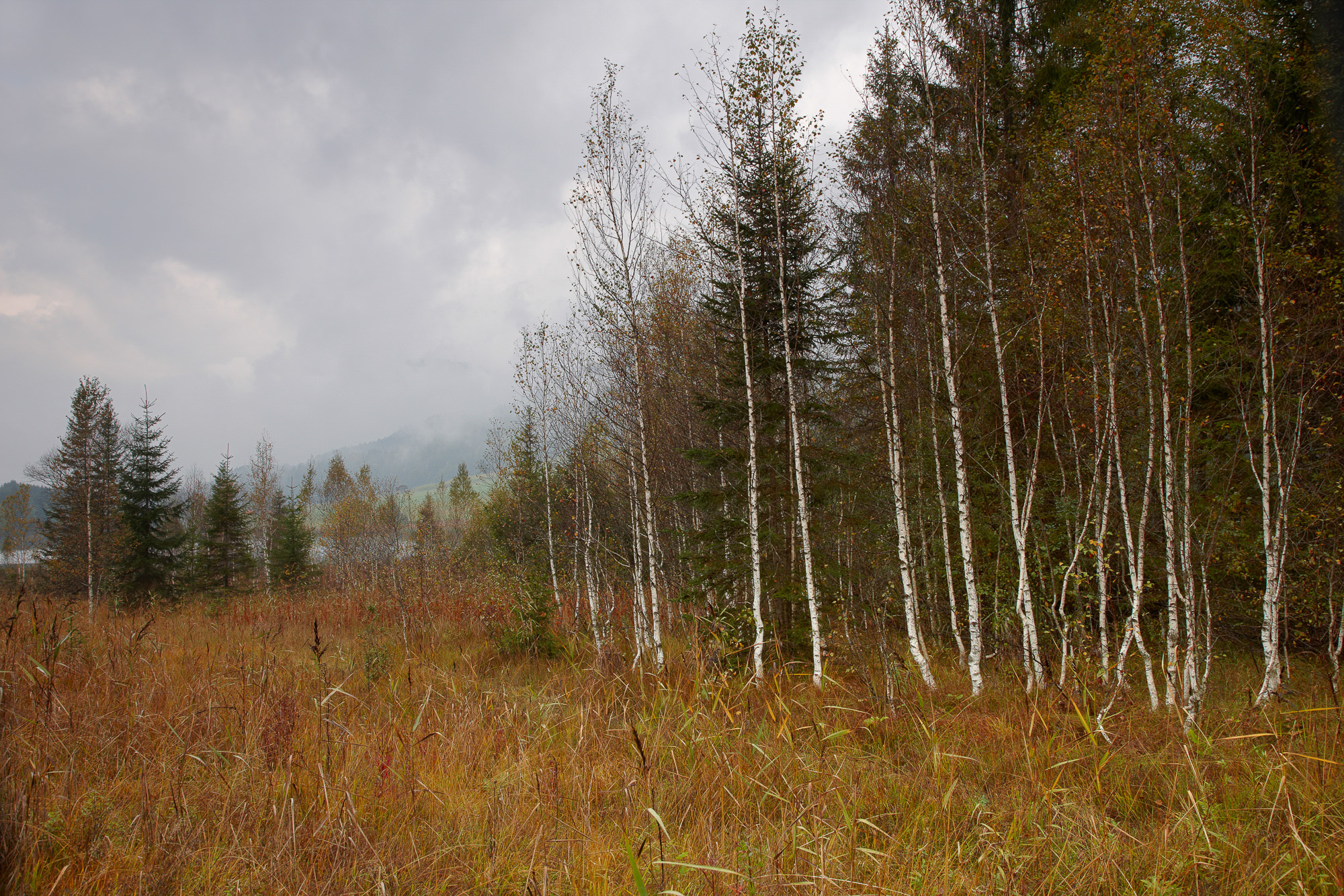 Herbst am Geroldsee bei Mittenwald