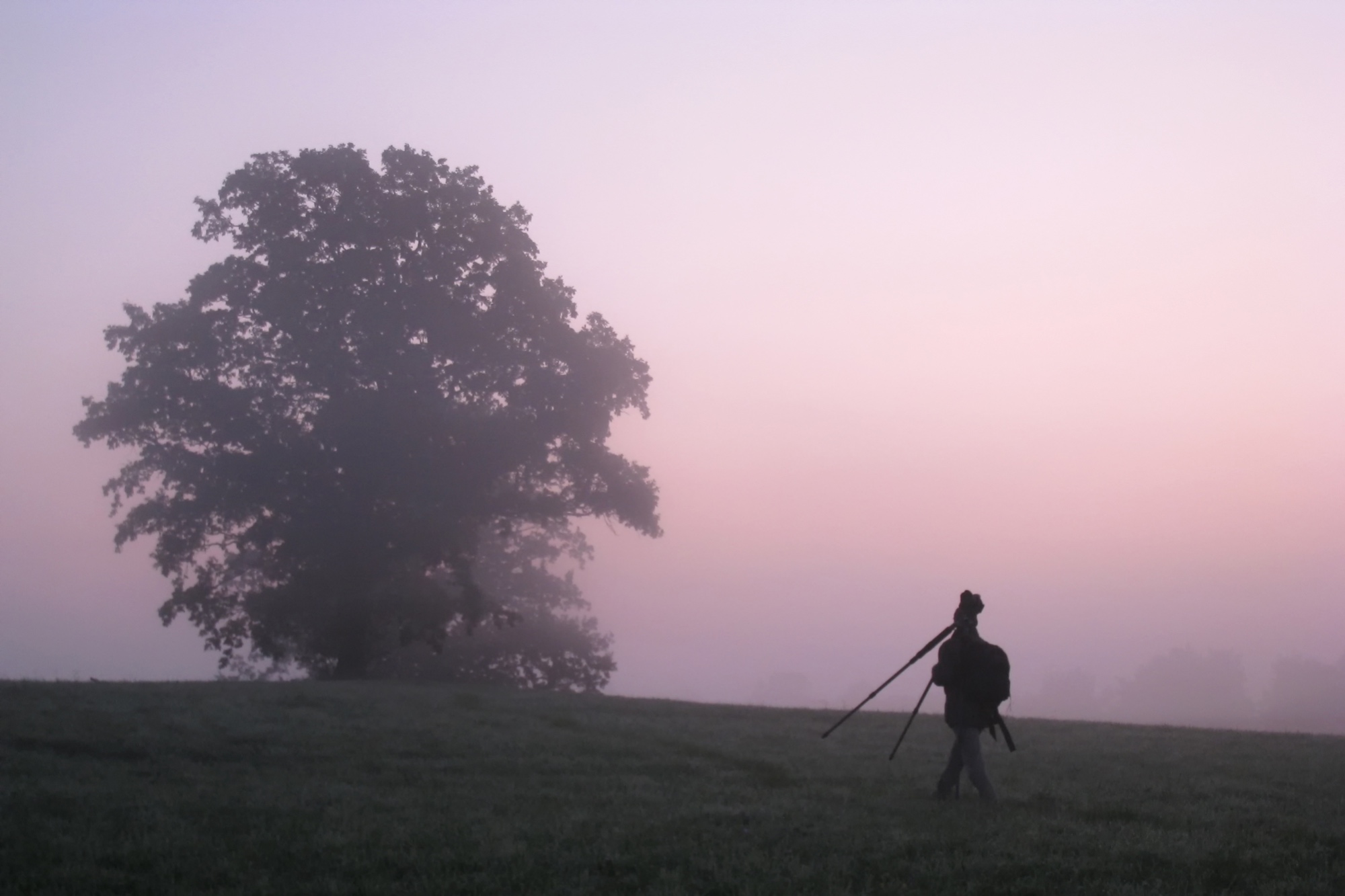 The early bird catches the worm.