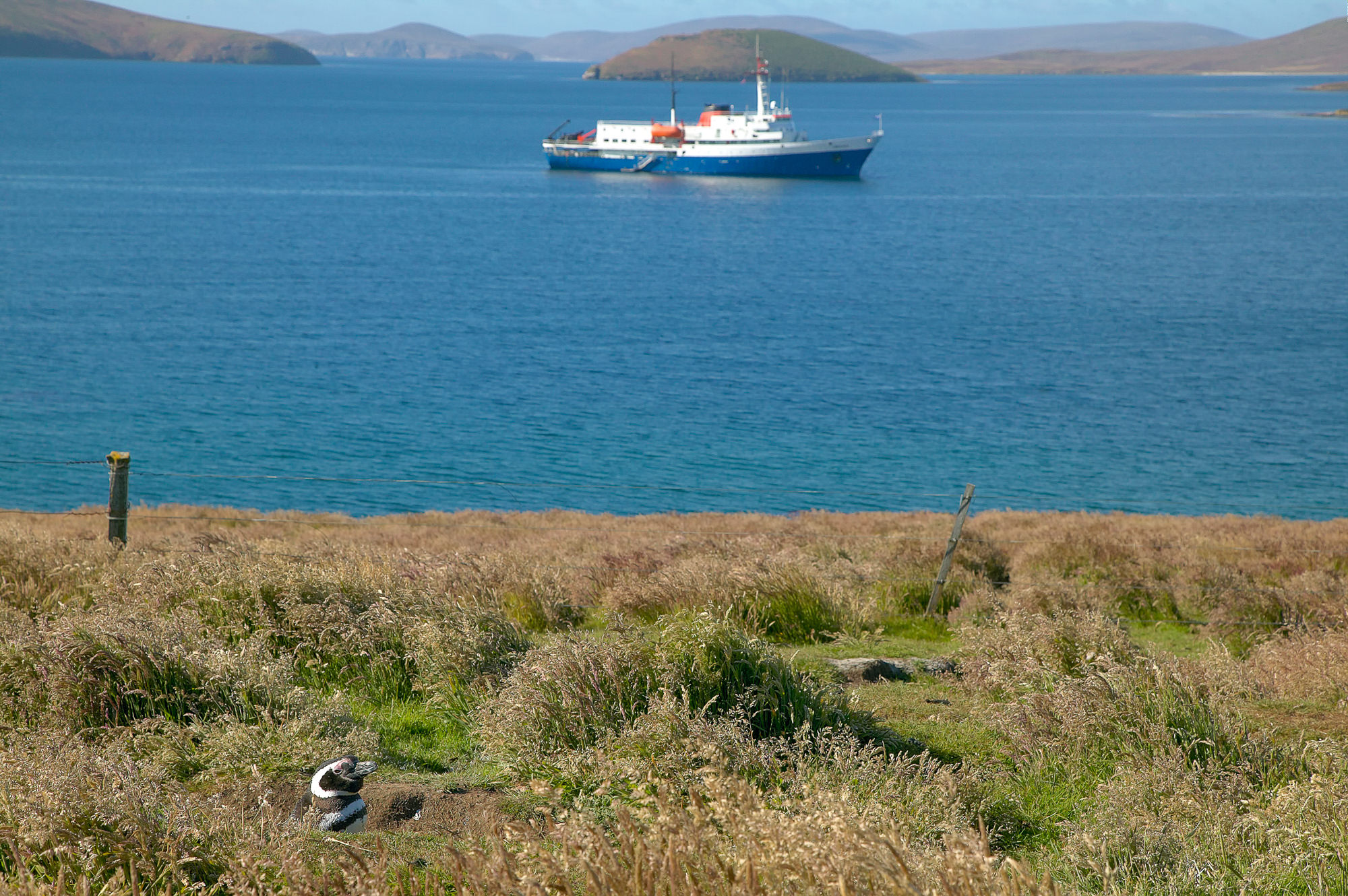 looking back at the waiting ship