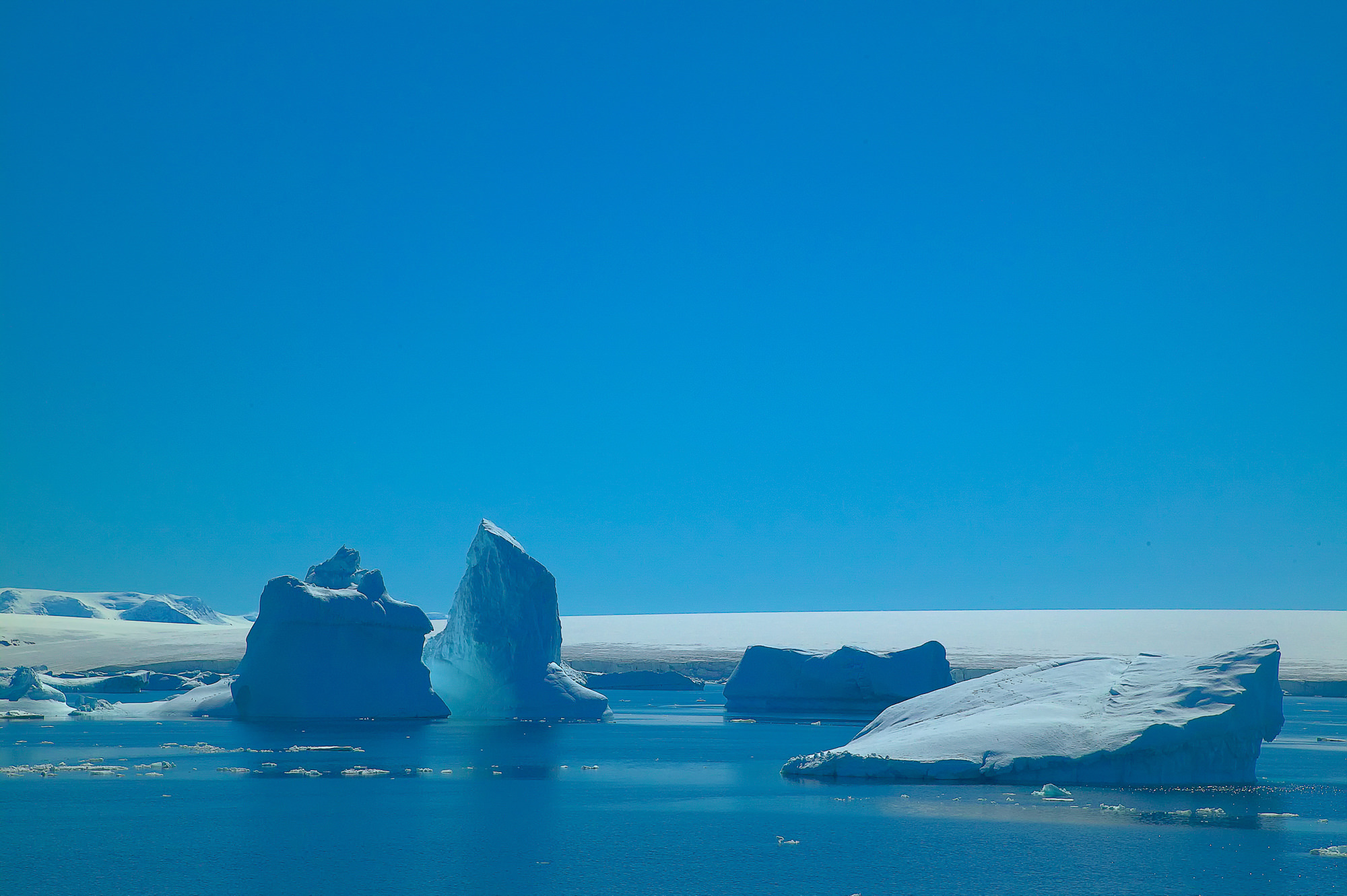 iceberg in the Antarctic Sound