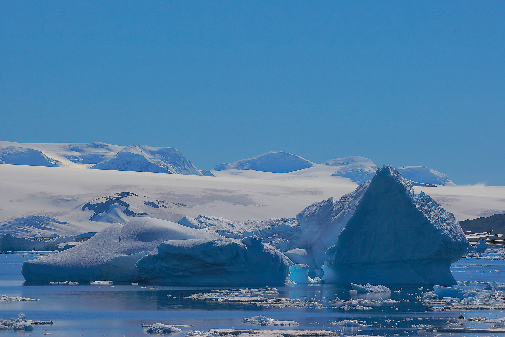 iceberg in the Antarctic Sound