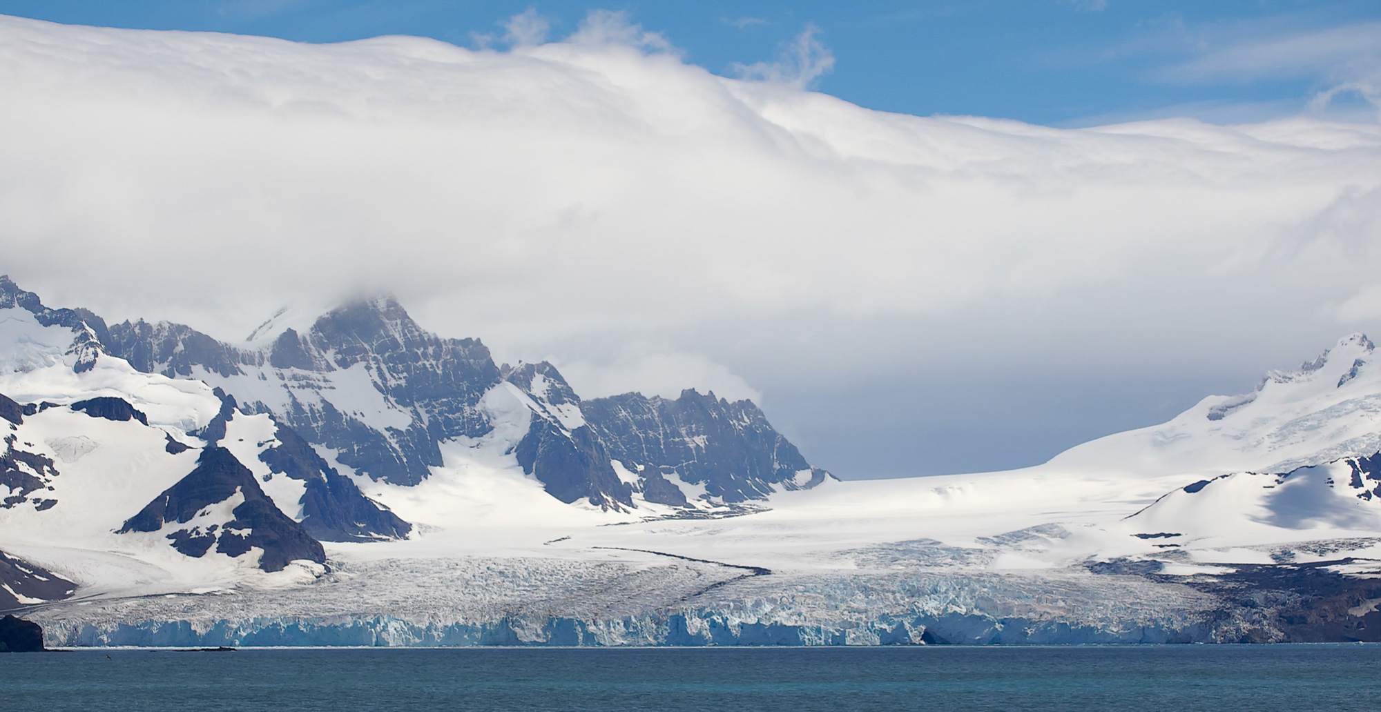 Little Molke Harbor, South Georgia