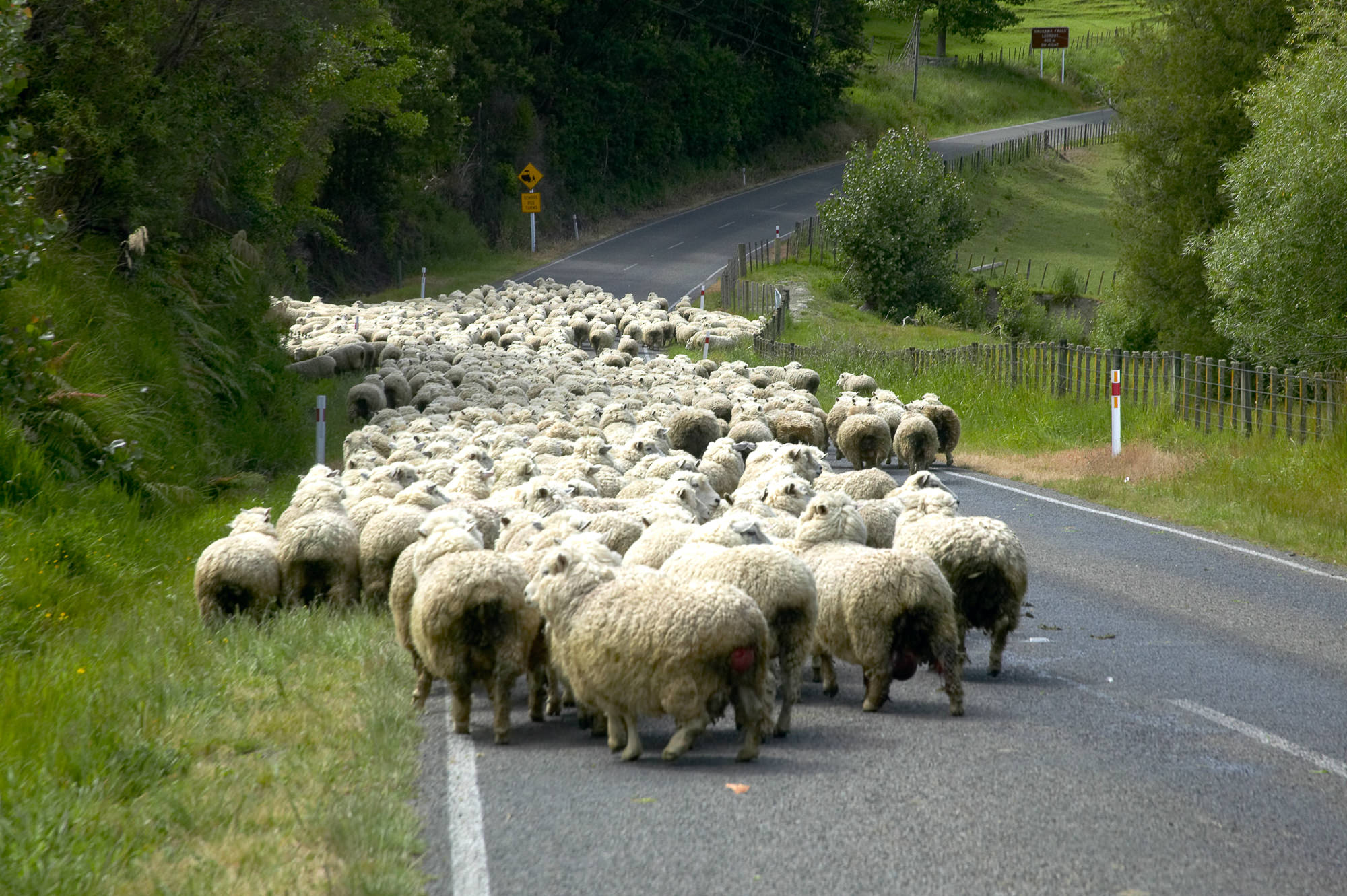 typical street scene on a New Zealand overland trip