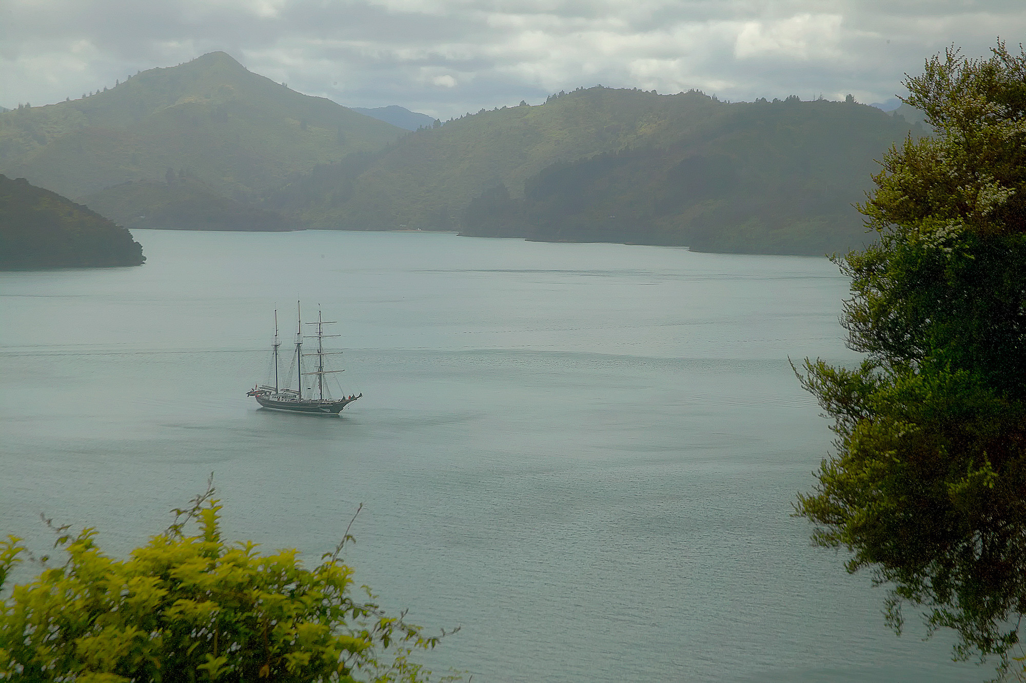 rainy reception on the South Island