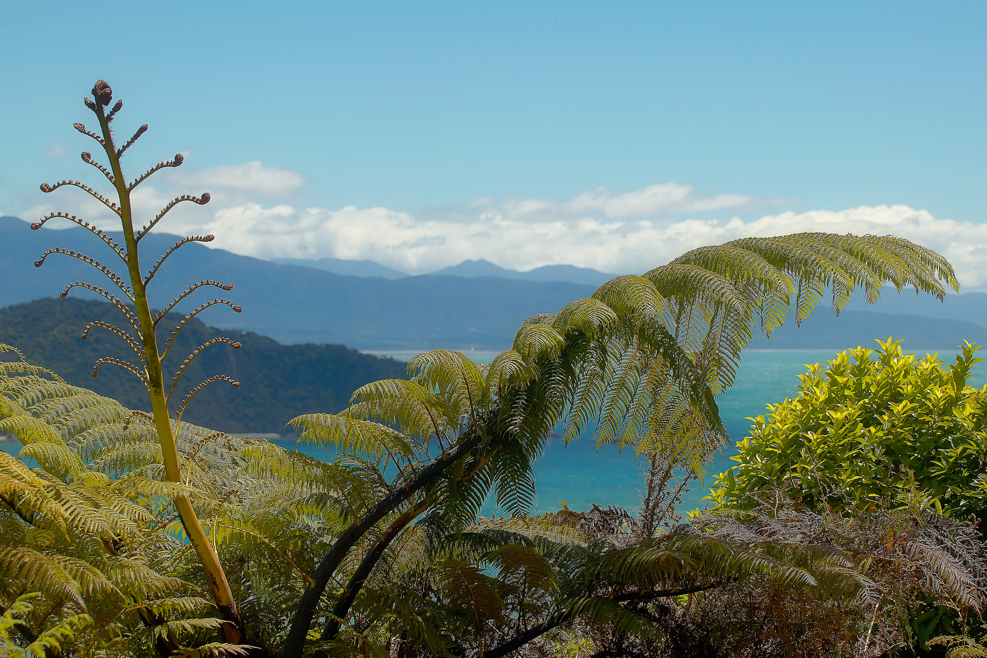 New Zealand, Abel Tasman Nationalpark