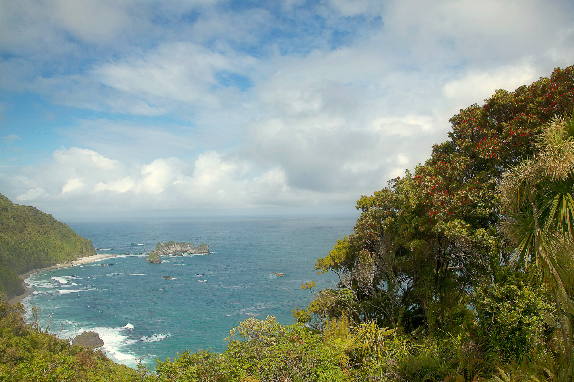 coast of the South Island