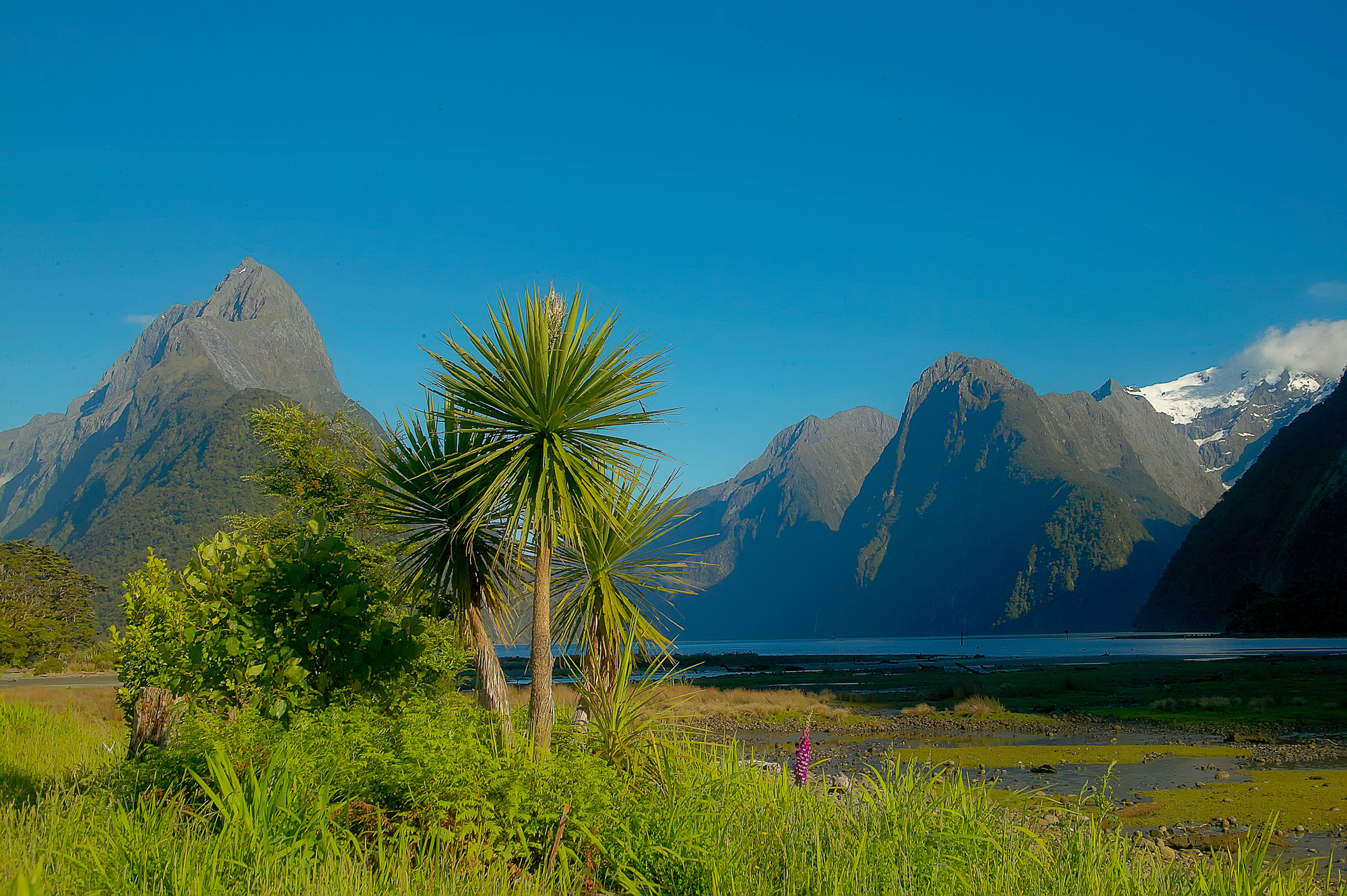 Milford Sound and Mitre Peak
