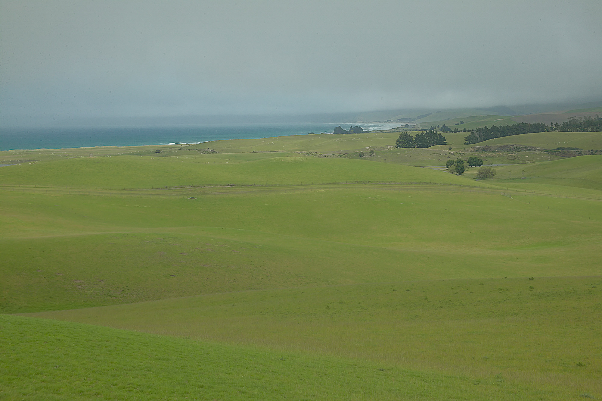 New Zealand landscape