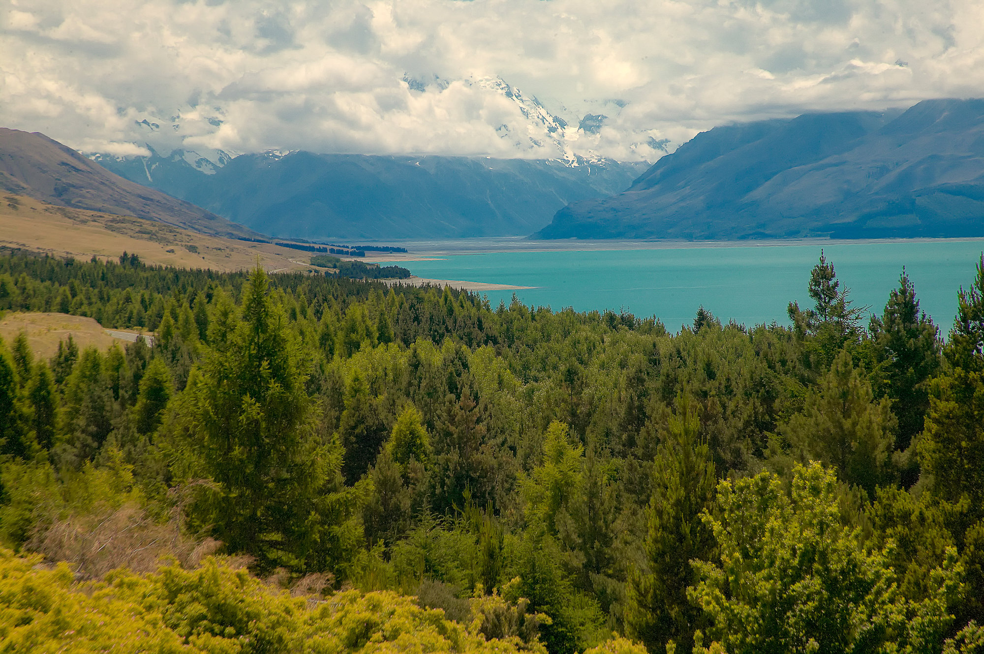lake Tekapo and New Zealand alps