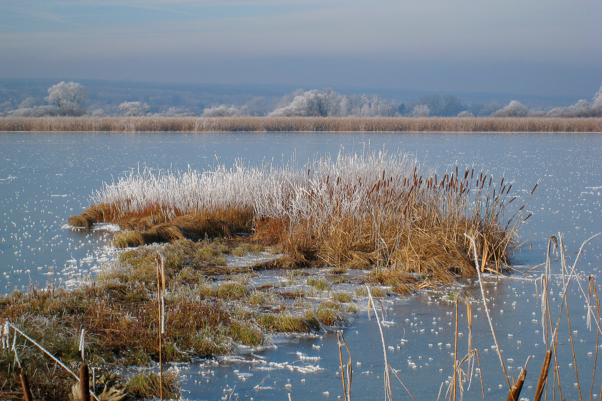 hoarfrost on lake Ammersee