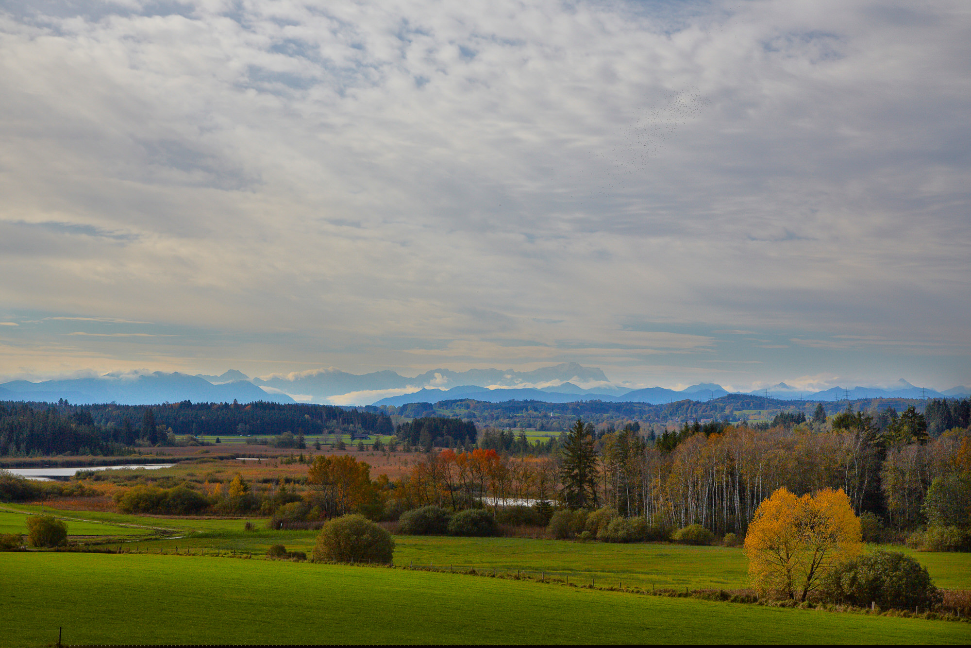 autumn mood at the pr-alp lake Maisinger See