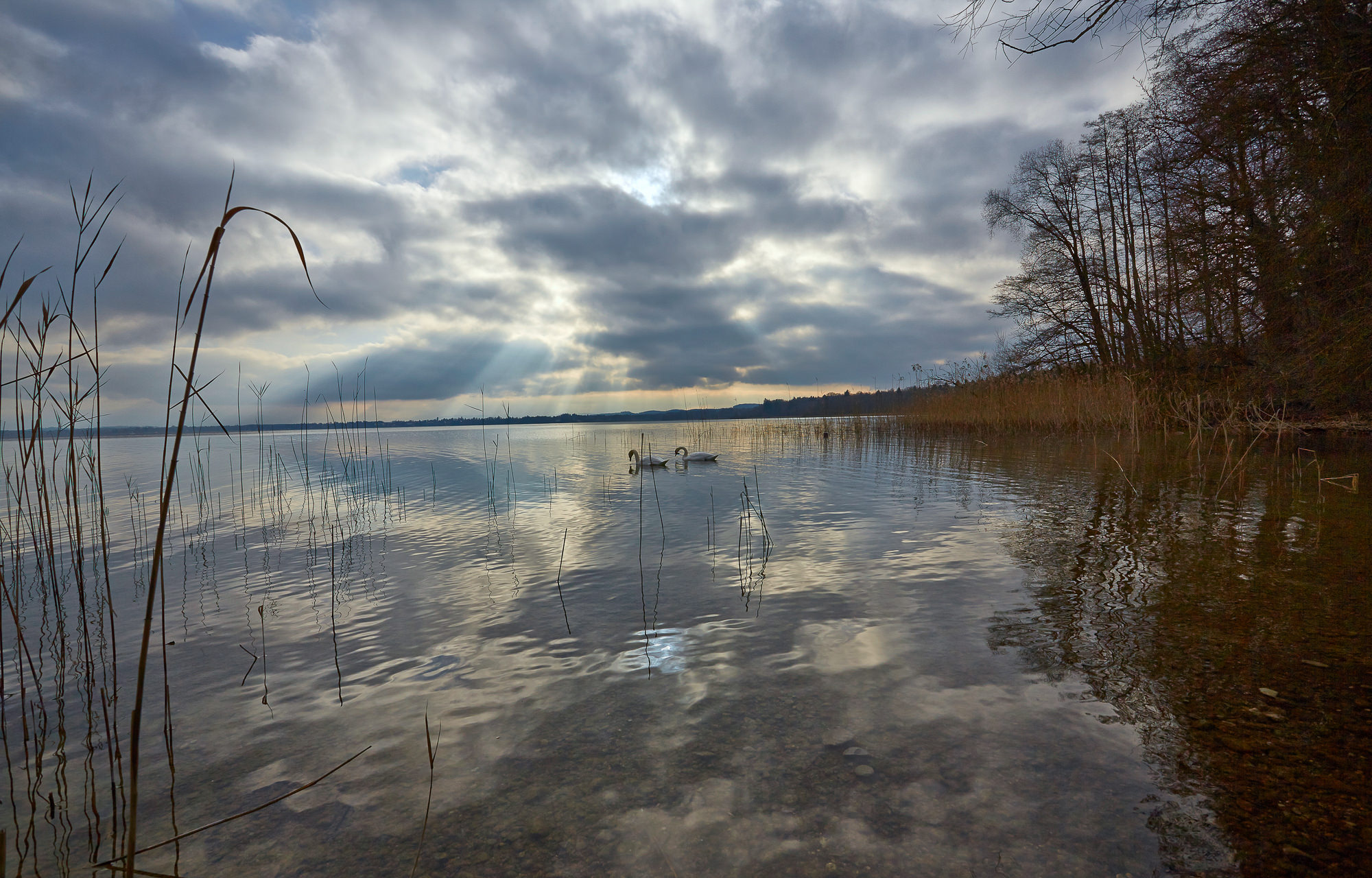 lake Starnberg in January