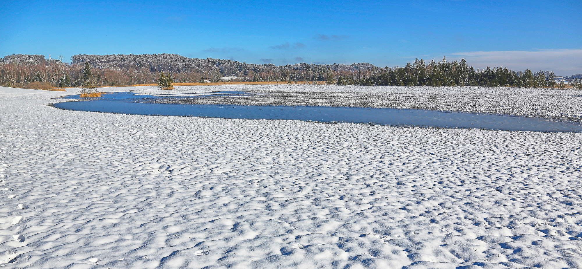 January at the pond